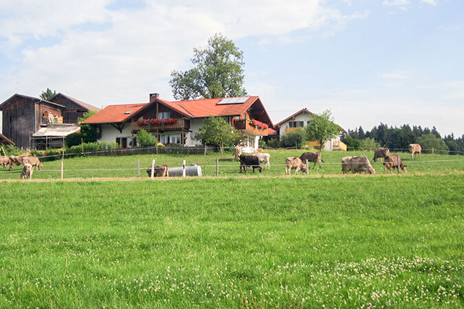 Bauernhof Hipp